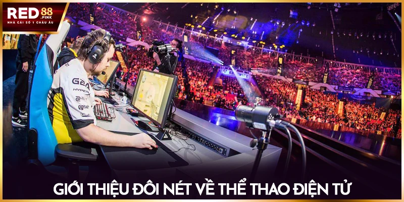 Giới thiệu đôi nét về thể thao điện tử