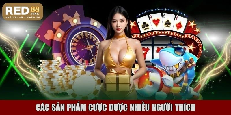 Các sản phẩm cược được nhiều người thích